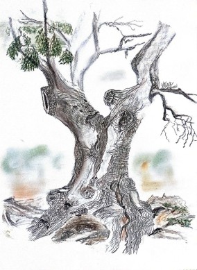 Coaching individuel Supervisionsgruppe